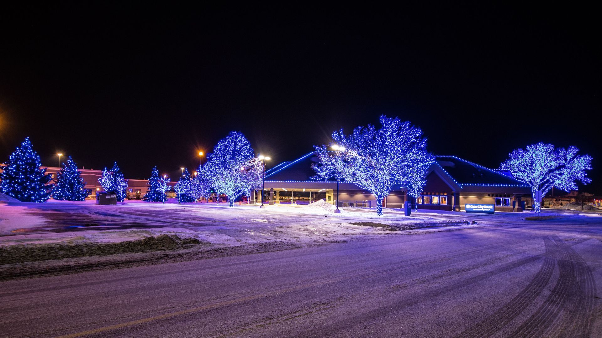 Holiday Lighting