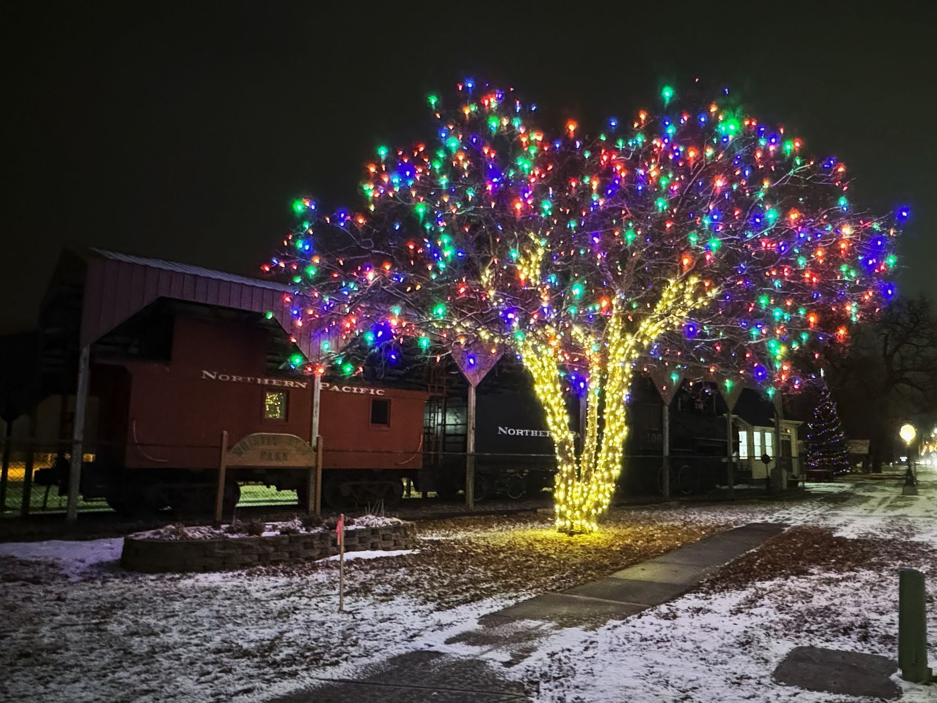 Holiday Lighting