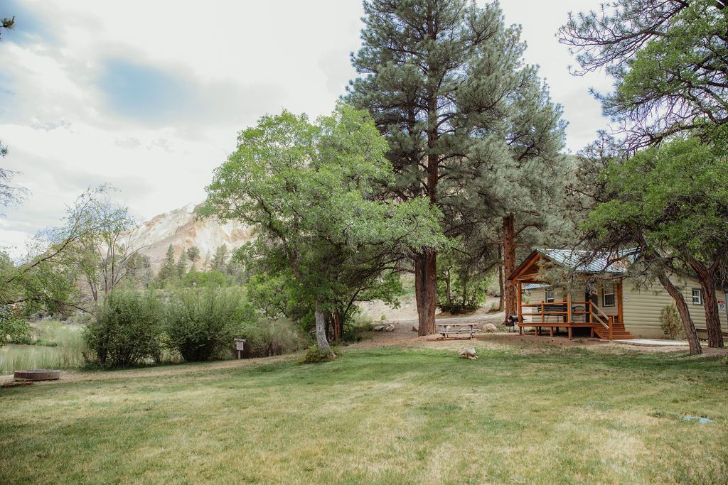 A small cabin is sitting in the middle of a lush green field surrounded by trees.
