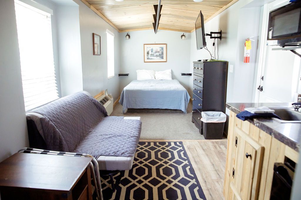A living room with a couch , bed , and kitchen.