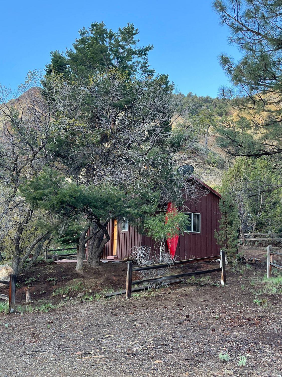 A small house is surrounded by trees and a fence.