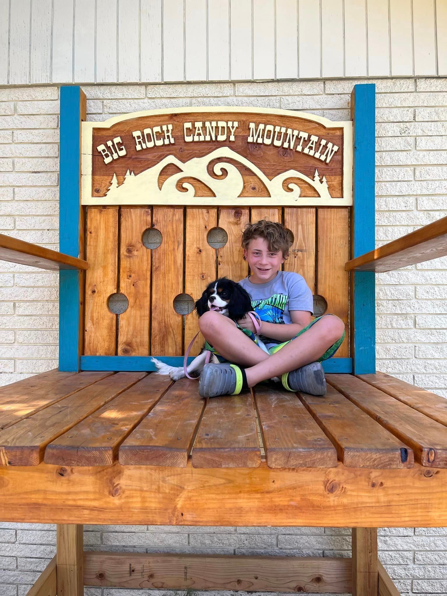 A young boy is sitting on a wooden bench with a dog.