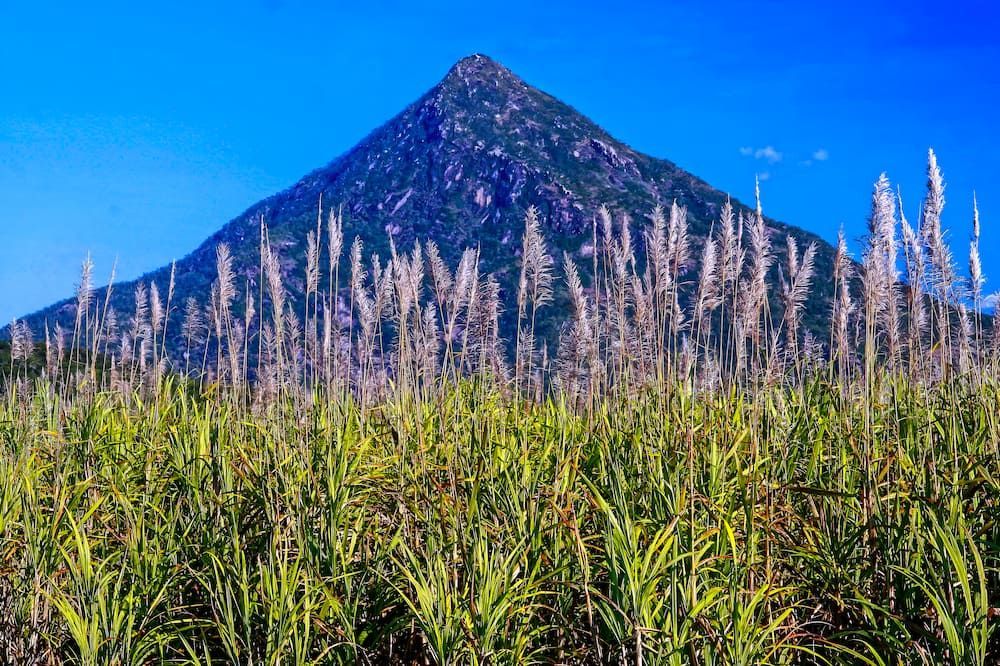 A Field Of Tall Grass With A Mountain — BT Airconditioning In Edmonton, QLD