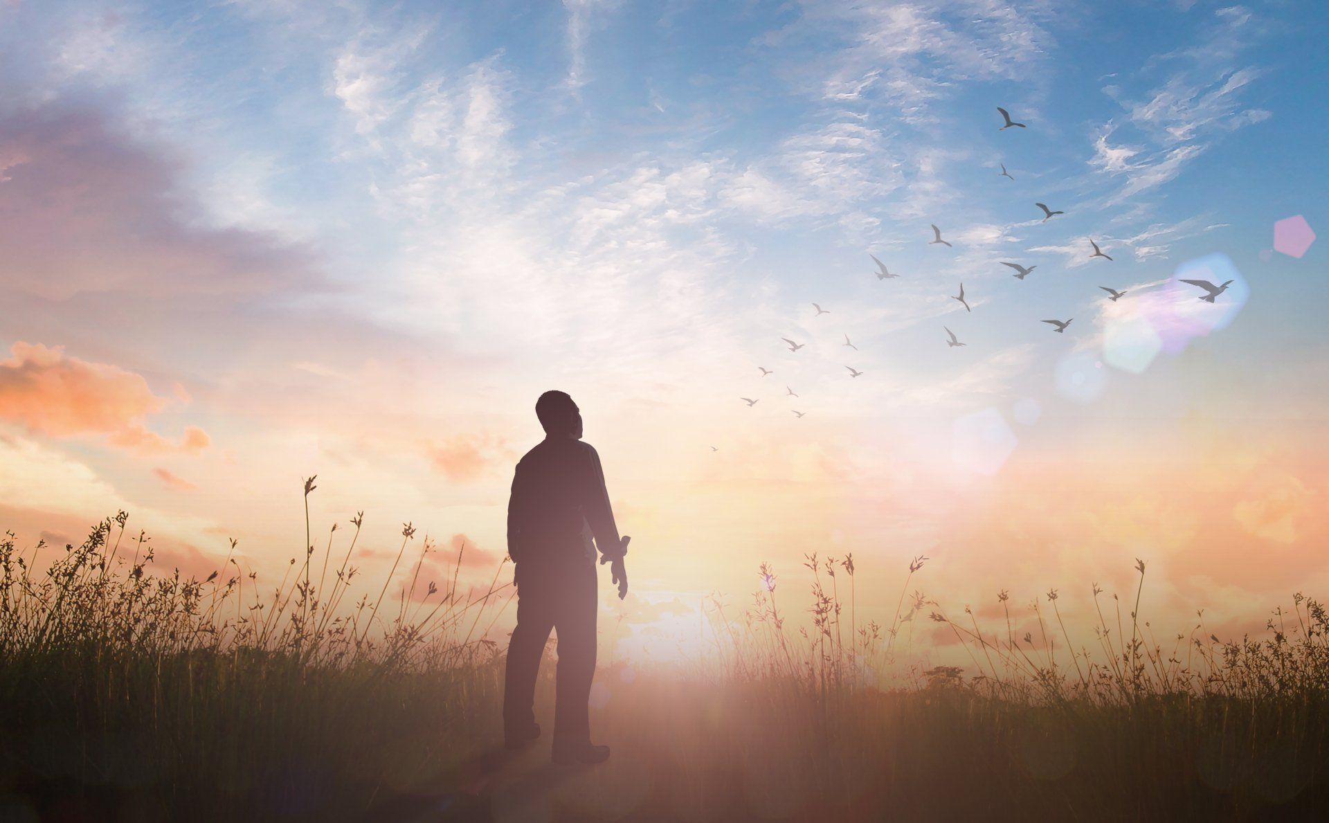 professional life coaching services