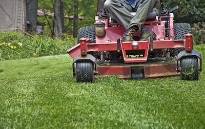 landscapers bandera texas