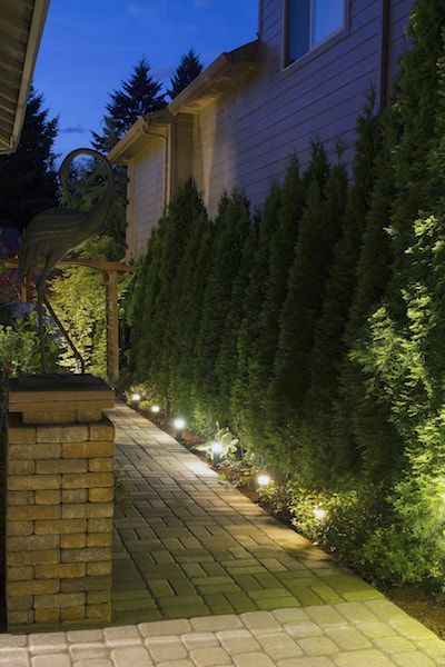 landscapers bandera texas