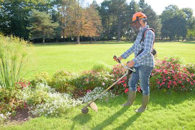 lawn care