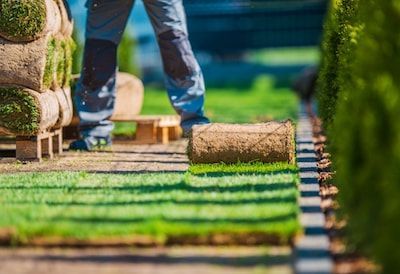new lawn installation