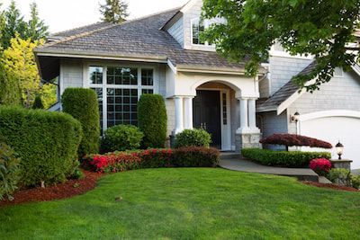 lawn care