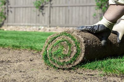 sod installation boerne tx