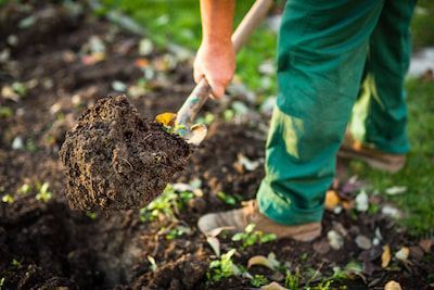 landscapers boerne