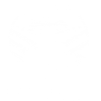 All in white Silhouette of pets (dog, cat, rabbits) above water with a lotus flower, rainbow, and clouds. Text reads "Serene Reflections."