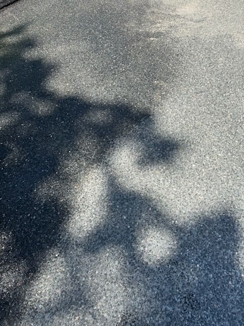 Shadows of tree leaves on a sunlit gray-blue pavement