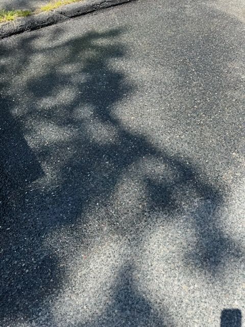 Sunlit asphalt road with tree shadows across the surface