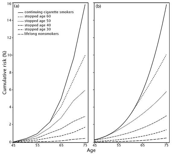 Gráfico de linhas de dois painéis mostrando o risco cumulativo em função da idade, comparando grupos de fumantes e não fumantes ao longo da vida.