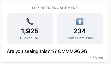 Dashboard card showing 1,925 click-to-call and 234 form submissions, with caption “Are you seeing this???? OMMMGGGG”
