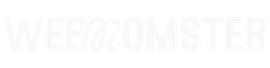 A logo for webzoomster custom websites and templates
