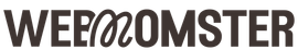 A logo for webzoomster custom websites and templates