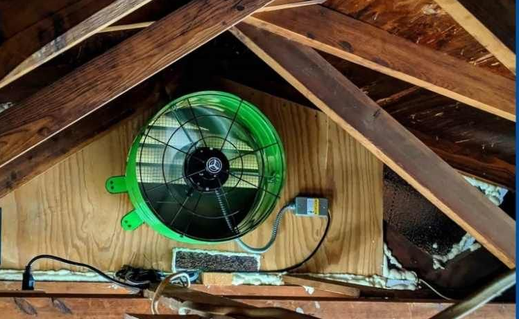 Green wall-mounted fan in a wooden attic, with exposed beams and cables nearby