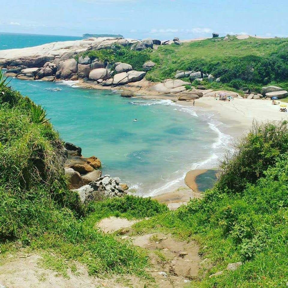 Vista aérea de uma pessoa flutuando em uma piscina natural de cor turquesa brilhante, cercada por vegetação tropical exuberante.
