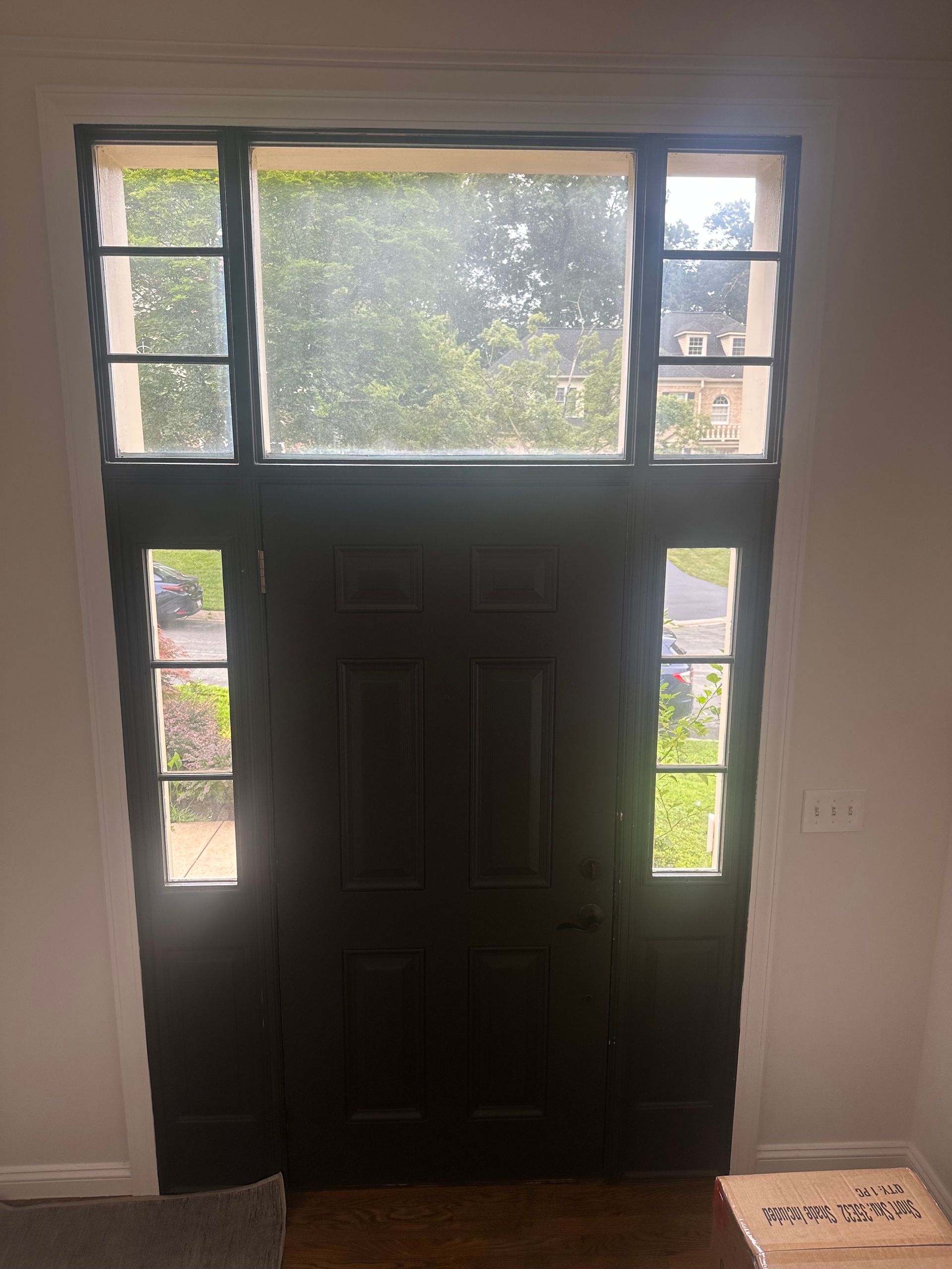 Front door with glass panels and sidelights, lit by daylight inside an entryway.