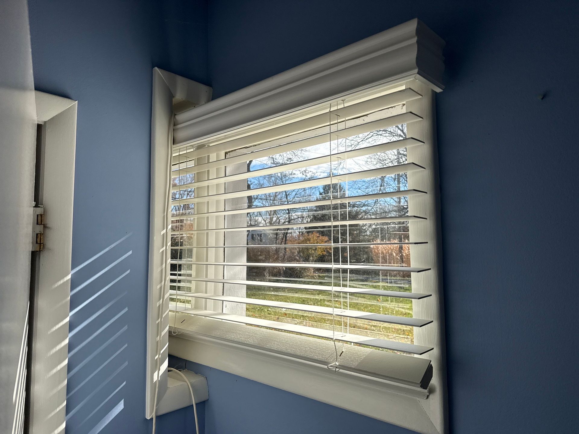 Sunlit window with white blinds in a blue-walled room, showing trees outside.