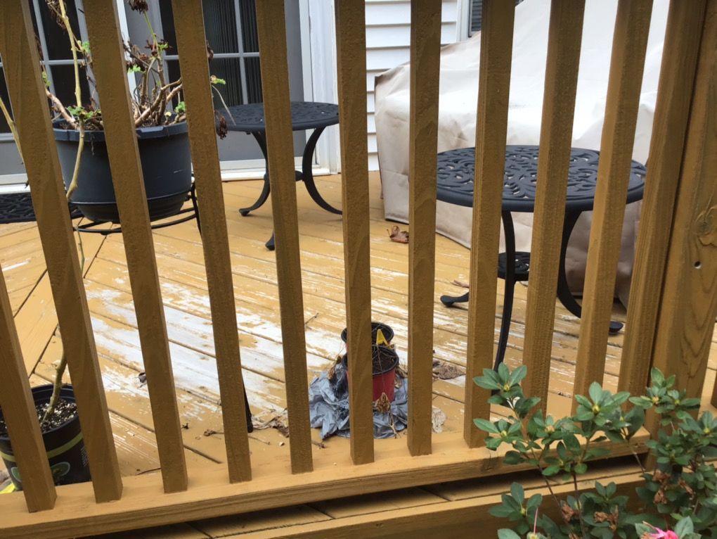 Dog lying on a wooden deck behind vertical railings, with patio furniture and potted plants nearby