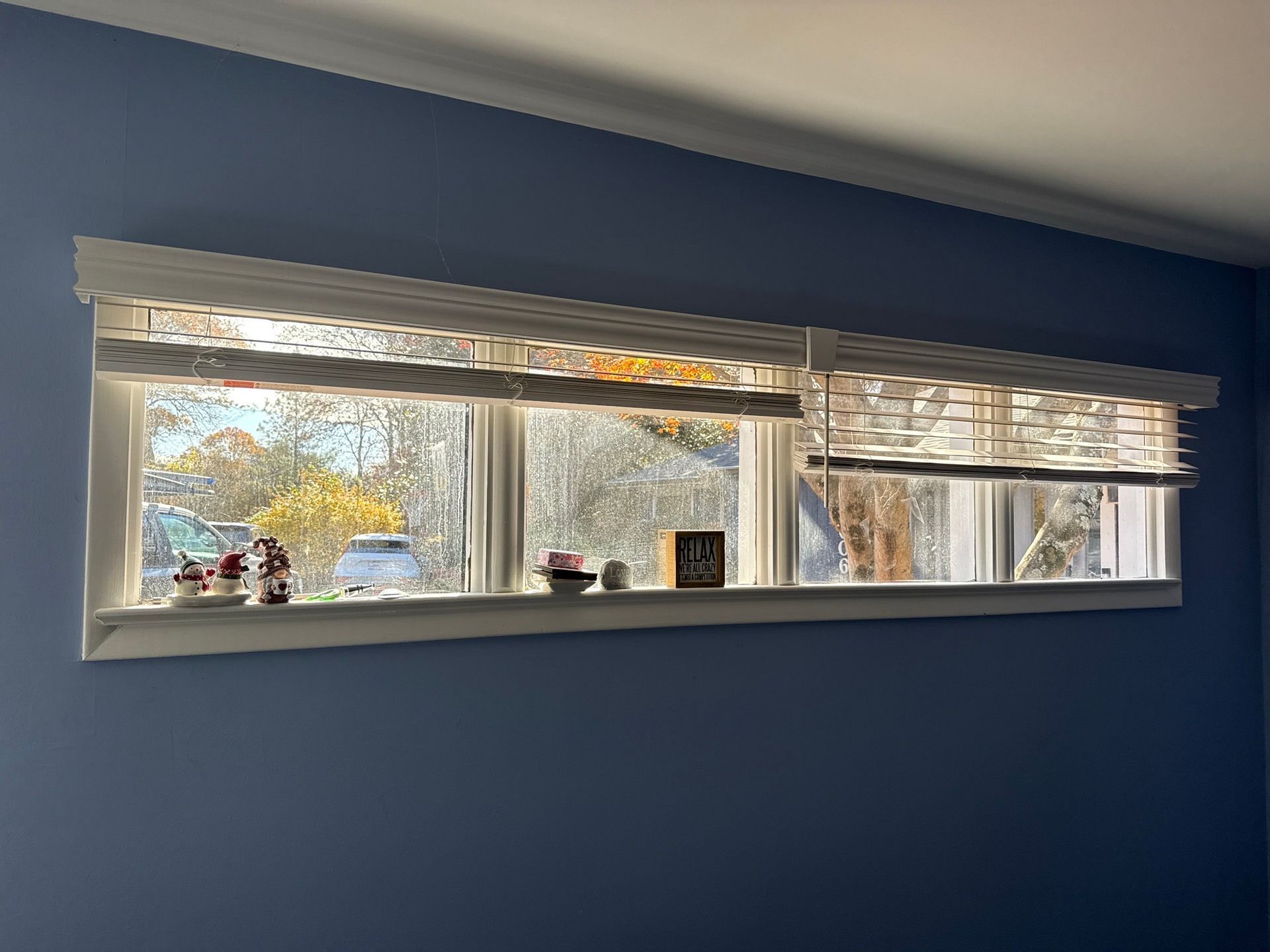 Blue wall with a long narrow window, showing trees and daylight outside