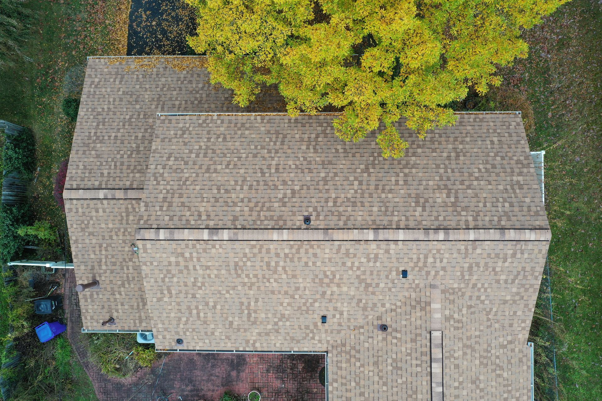 Aerial view of a tan shingled roof beside a large yellow-green tree and yard.