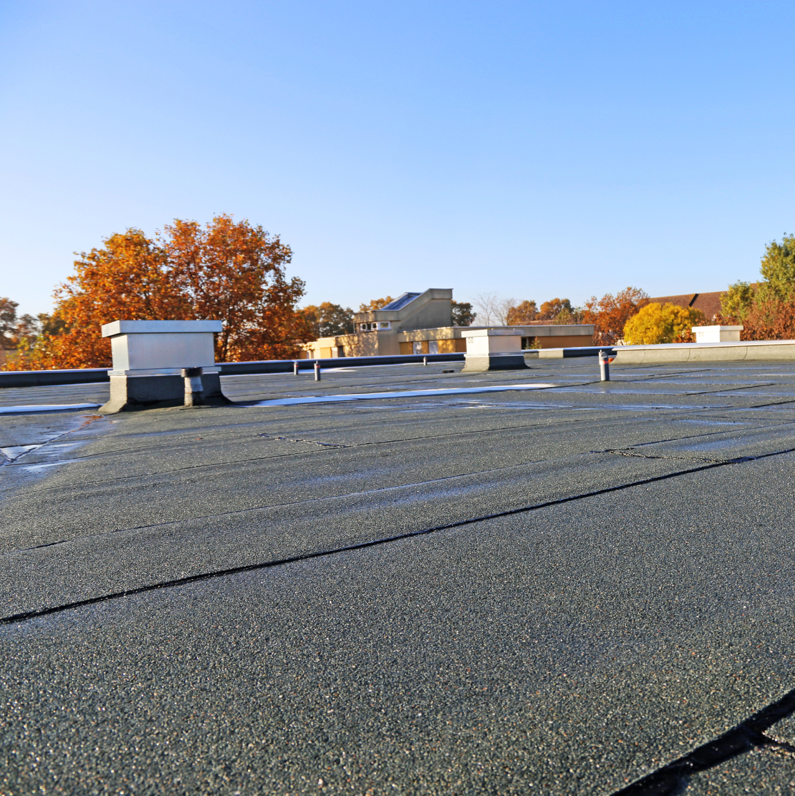 flat roof with orange trees in distance