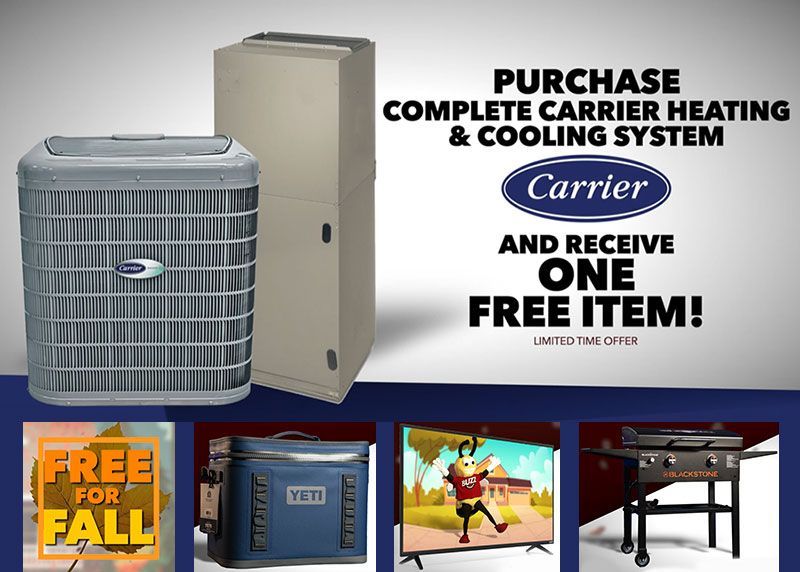 Free for Fall Promotion Image