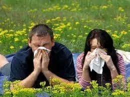 Allergies, Pollen Soup, and Neck Pain 