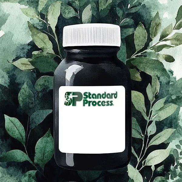 Black supplement bottle with white cap and Standard Process label on leafy green background