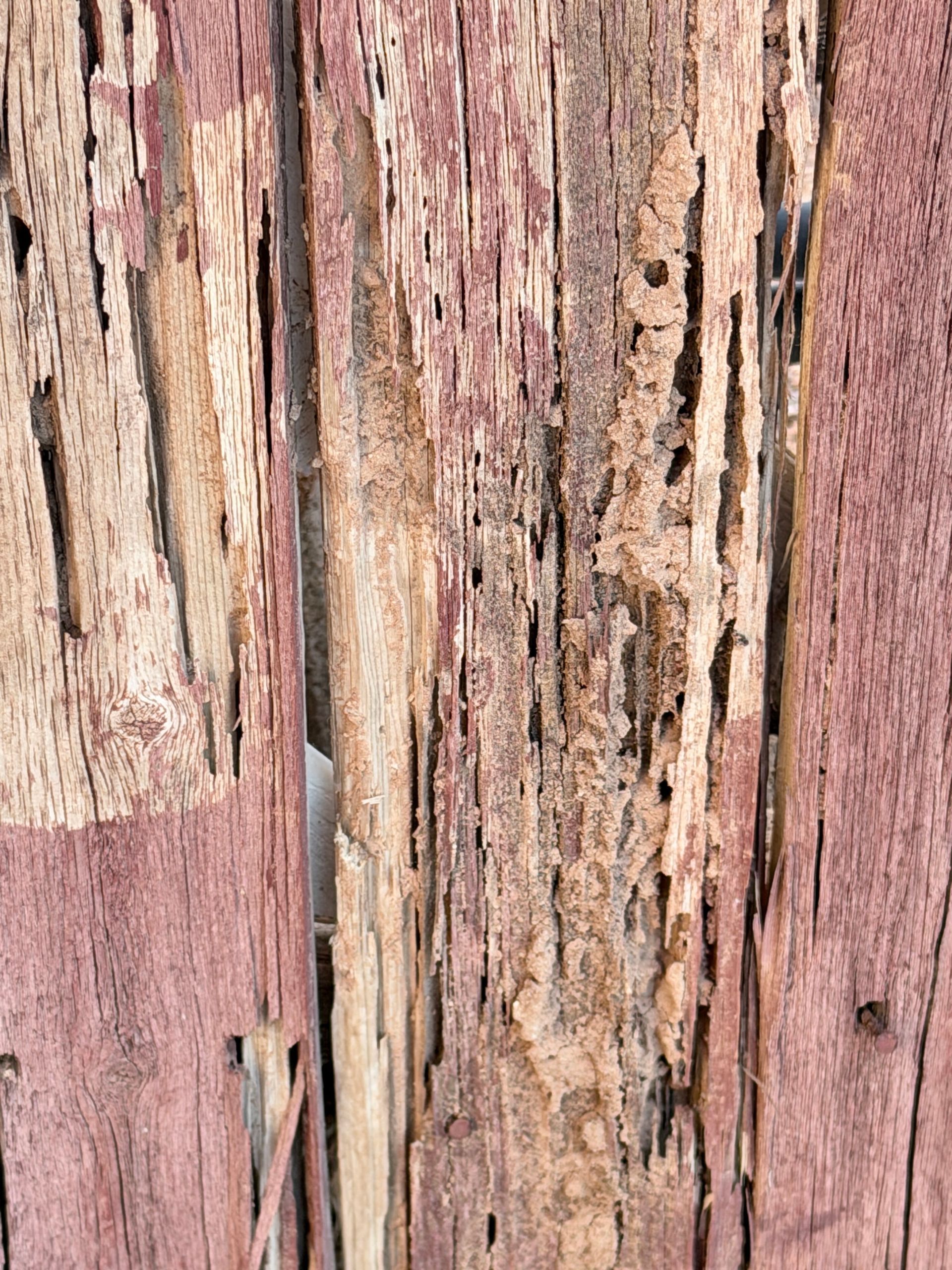 Close-up of weathered, peeling pink and tan painted wood with rough cracks and splintered texture