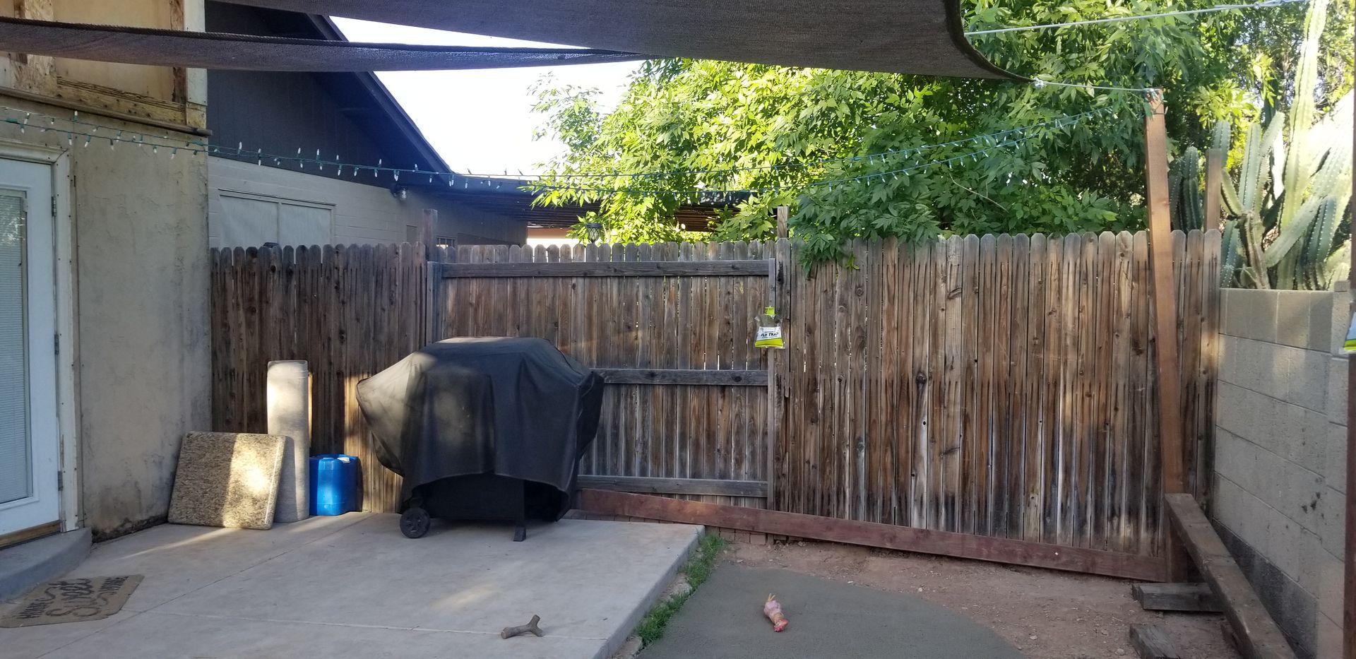 Backyard patio with a covered grill, wooden fence, and leafy trees in the corner.
