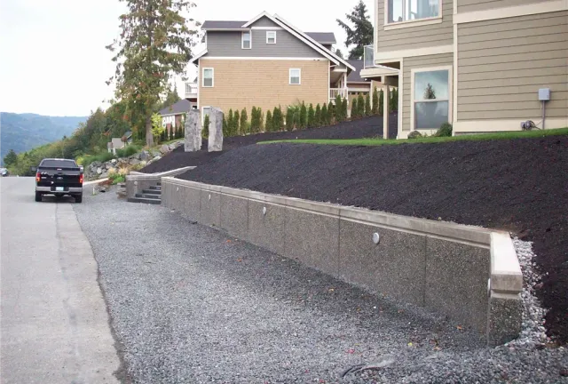 A black truck is parked on the side of the road in front of a house