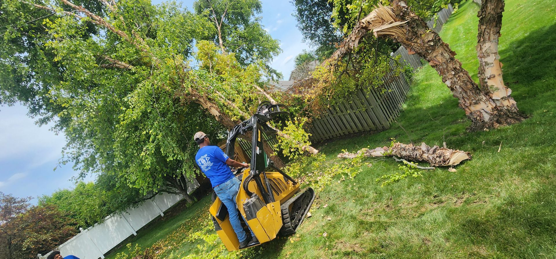 A man is cutting a tree with a machine in a yard.