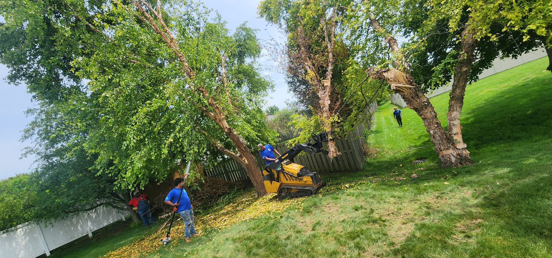 A group of people are cutting down trees in a park.