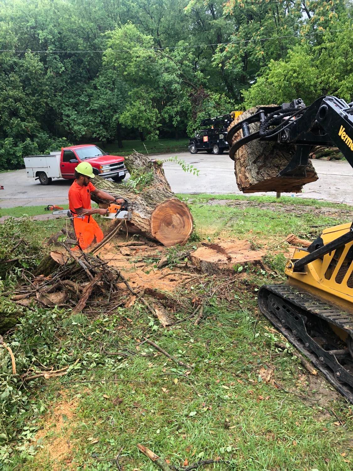 A man is cutting a tree stump with a chainsaw.