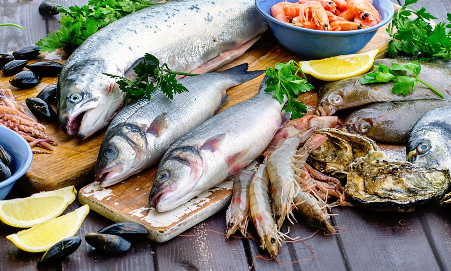 Sustainable Seafood Restaurant Sustainable Seafood Restaurant