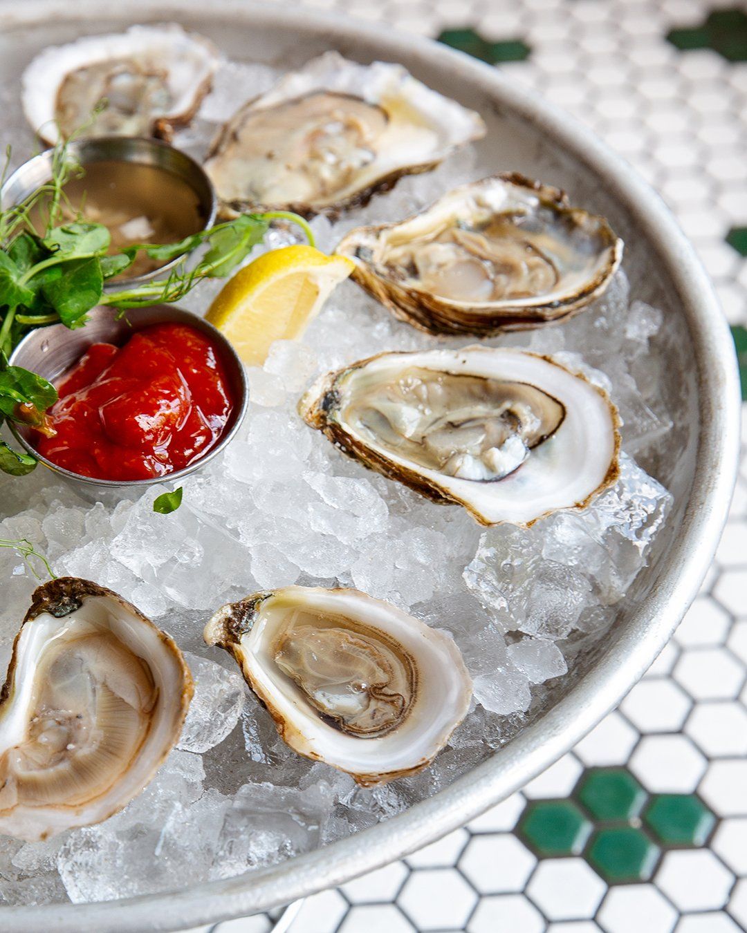 oysters