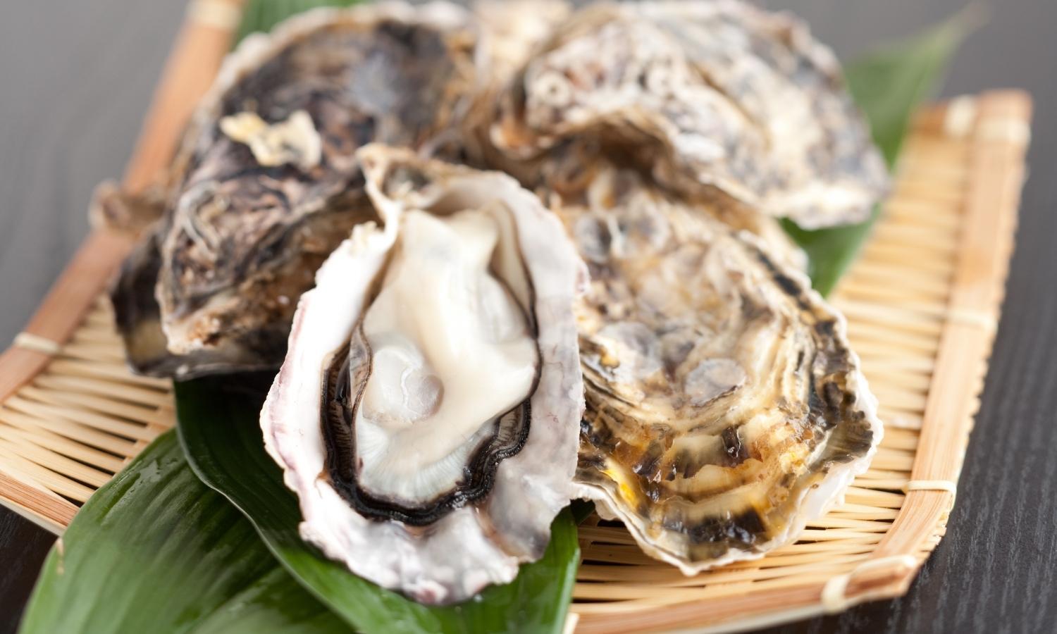Myths About Oysters Myths About Oysters