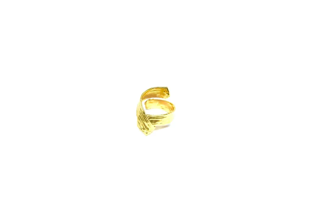 Brazilian Atlantic Forest Grass Ring