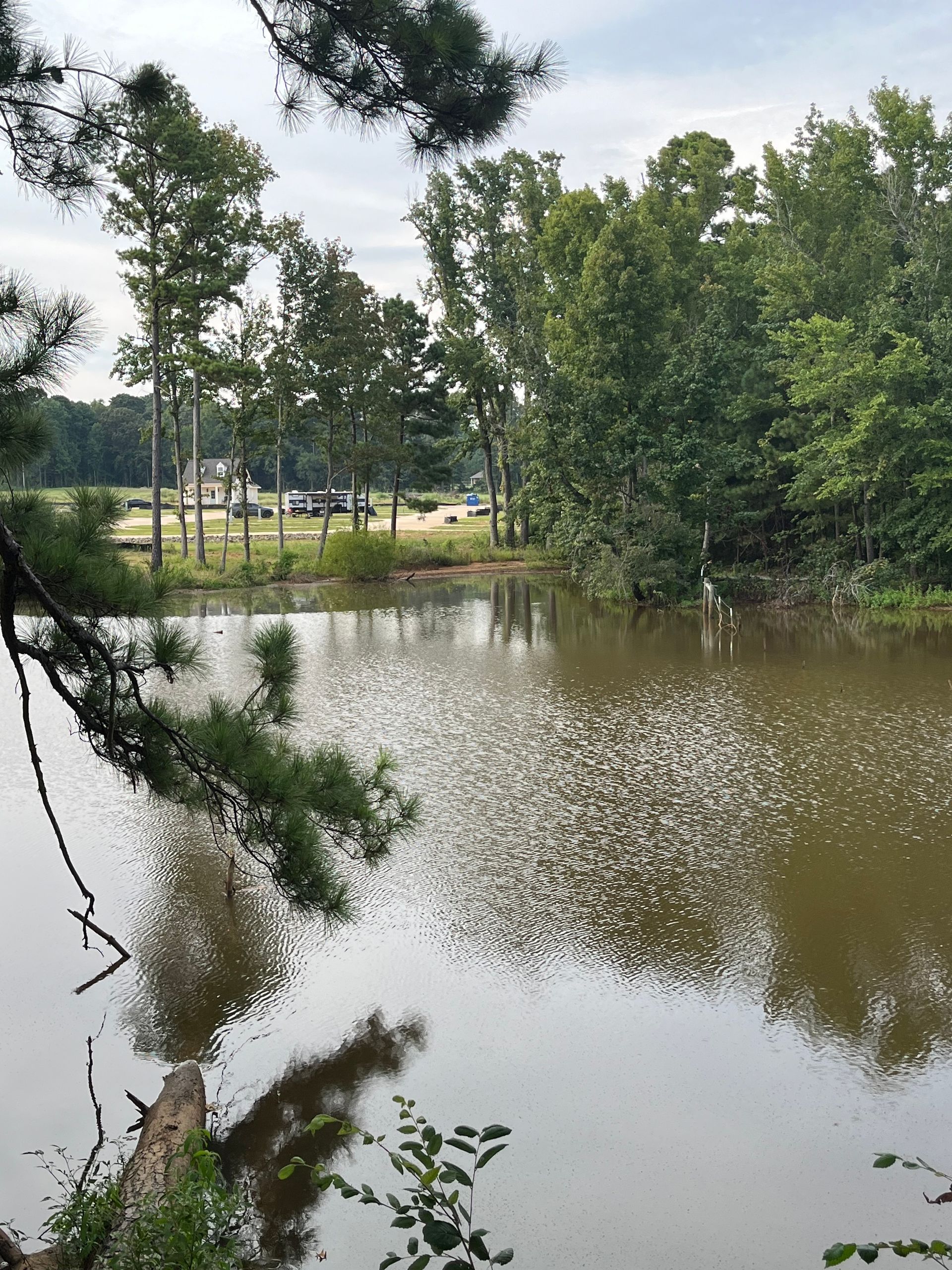 A large body of water surrounded by trees on a cloudy day.