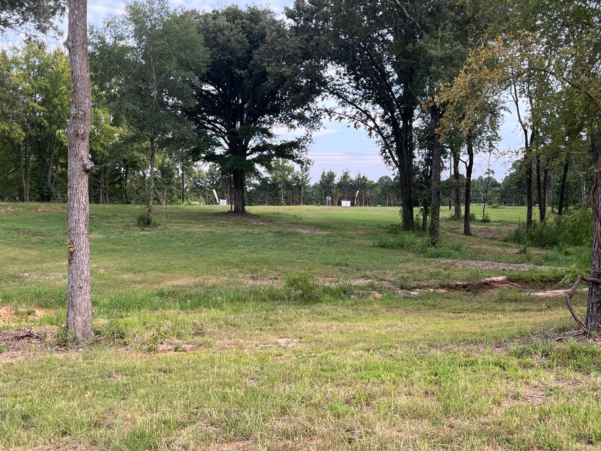 A large grassy field with trees in the background.