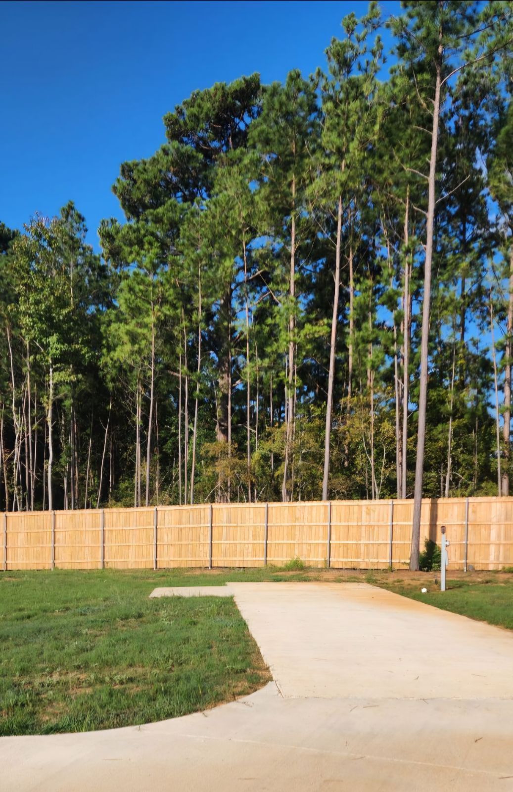 A wooden fence surrounds a lush green forest