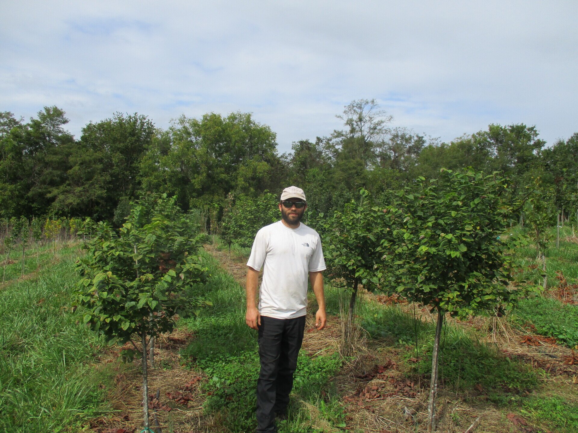 Tree Farm Nicholasville, KY Glynn Young's Landscaping and Nursery