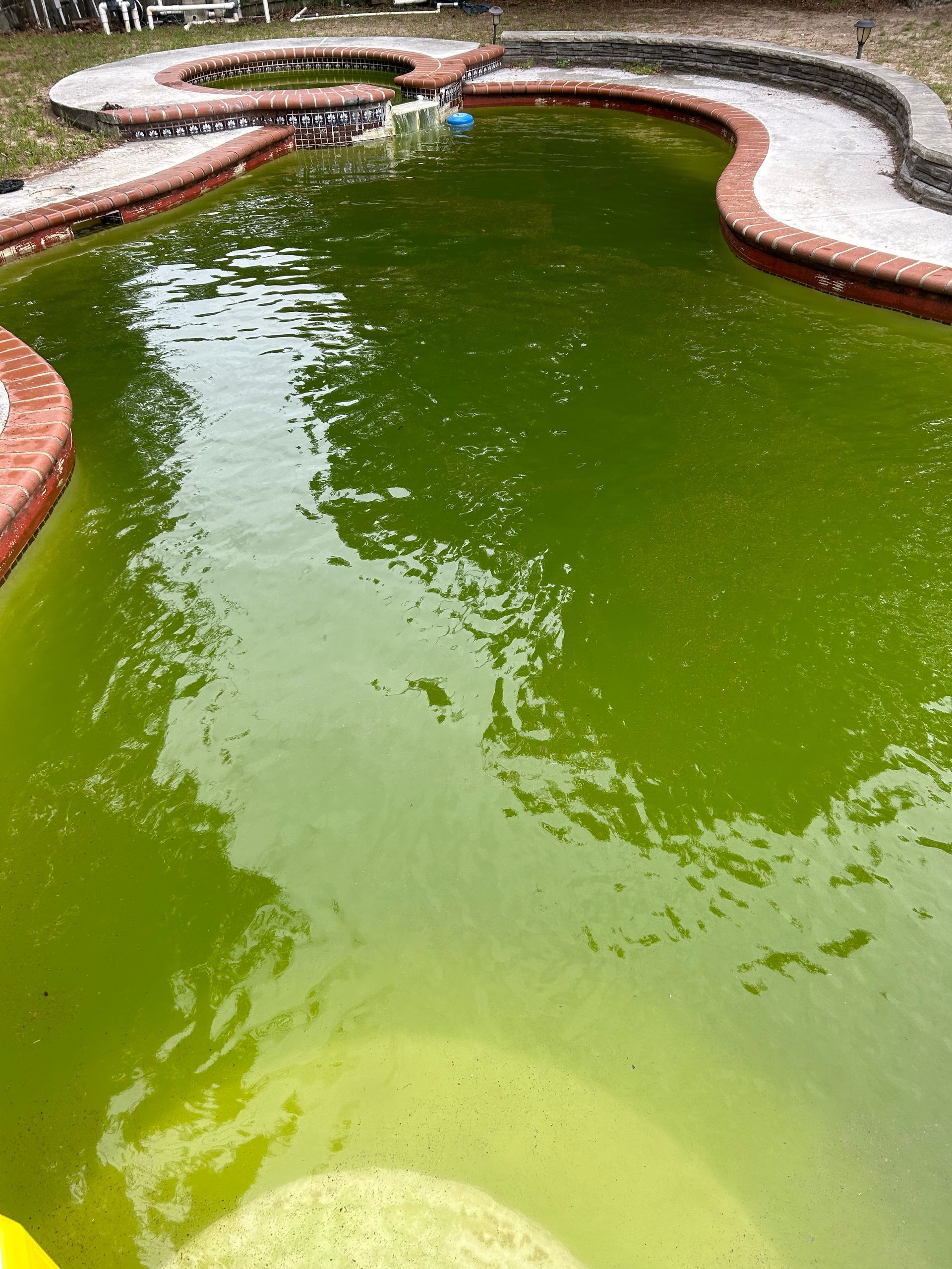 A swimming pool with a lot of green algae in it.