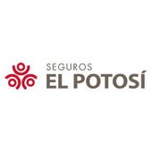 Seguros el potosí