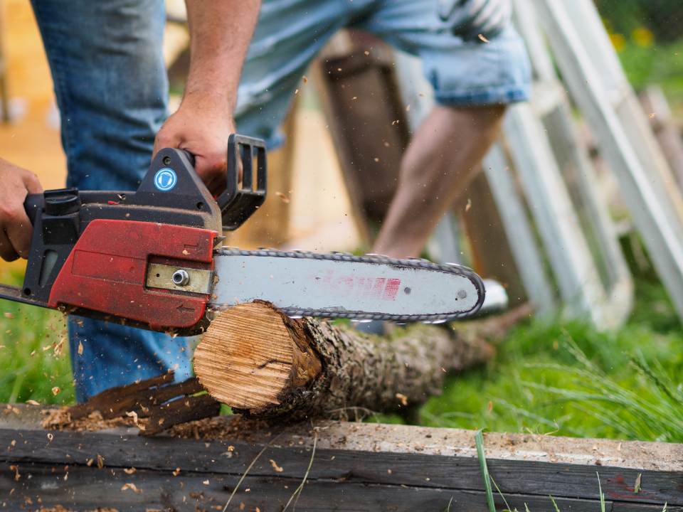 motosega